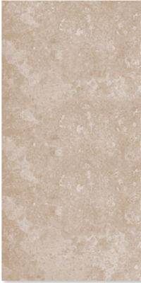 Gạch Đồng Tâm 30×60 DECOR002