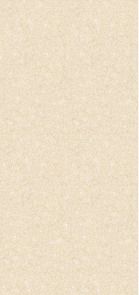 Gạch Đồng Tâm 30x60 D3060 NHATRANG001