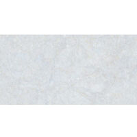 Gạch Đồng Tâm 4080FAME006-H+