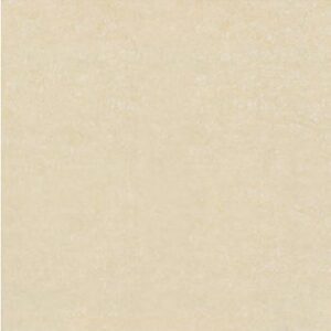 Gạch Đồng Tâm 60×60 DB006-NANO