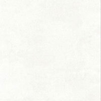 Gạch Đồng Tâm 60×60 PHUSA002