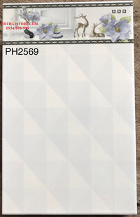 Gạch 25x40 PH2569