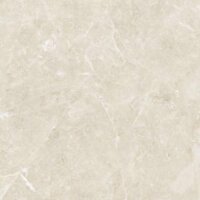 Gạch Granite lát nền Đồng Tâm 6060TRUONGSON005-FP - 60x60