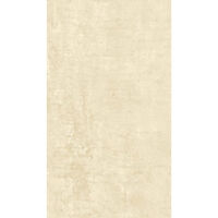 Gạch Granite lát sàn - MSV3601 (30x60)