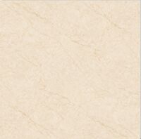 Gạch Hoàn Mỹ 100x100 vi tinh 54003