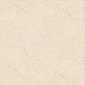 Gạch Hoàn Mỹ 100x100 vi tinh 54003