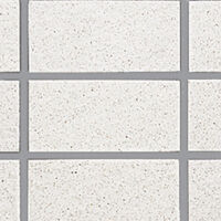 Gạch Inax 255/VIZ-1