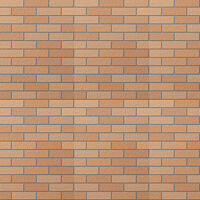 Gạch Inax 355/VIZ-10N