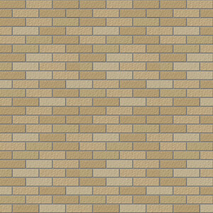 Gạch Inax 355/VIZ-5N