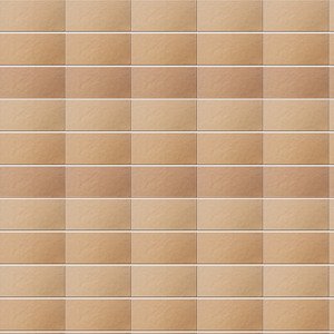 Gạch Inax INAX-2312/VIZ-10