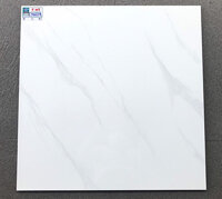 Gạch lát nền 600x600 EY6034