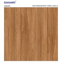 Gạch lát nền 60×60 TTC Ceramic CN66203
