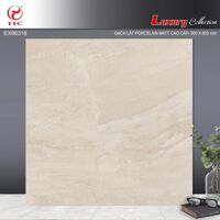 Gạch lát nền 60×60 TTC EX66318