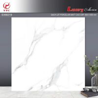 Gạch lát nền 60×60 TTC EX66319