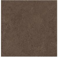 Gạch lát nền 60X60 Royal FL6005