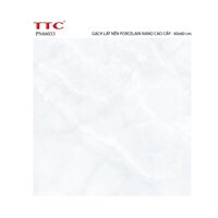 Gạch lát nền 60x60 TTC PN66033