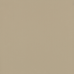 Gạch lát nền 800x800 Viglacera TS6-802