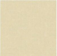 Gạch lát nền Bạch Mã MM6002 - 60x60