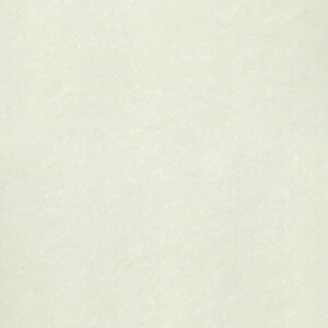 Gạch lát nền bóng kiếng Taicera P87703N