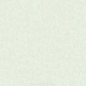 Gạch lát nền Catalan 5607 - 50x50