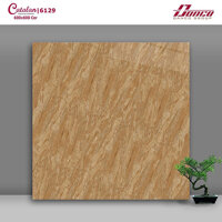 Gạch lát nền Catalan 60x60 6129