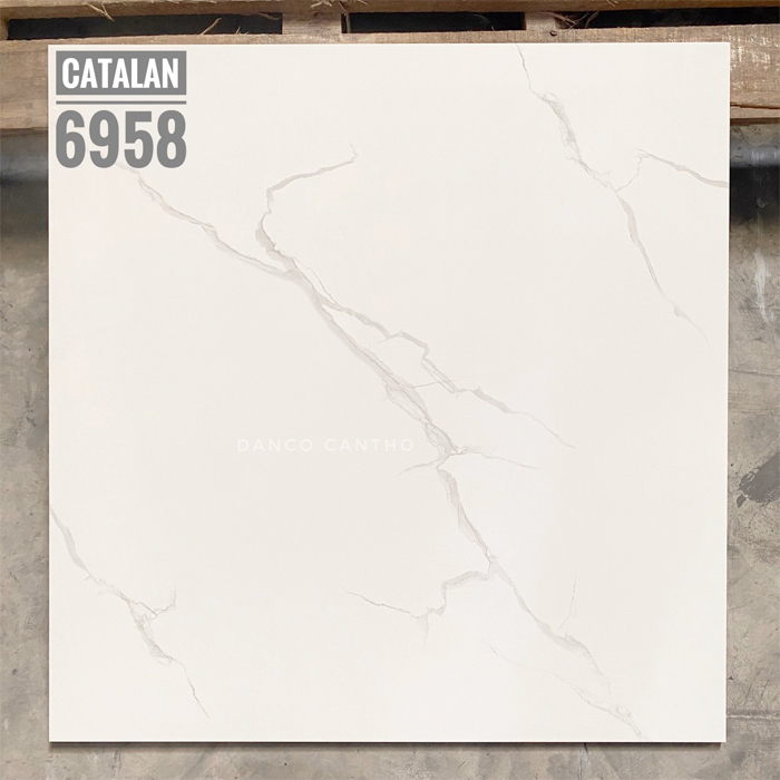 Gạch lát nền Catalan 6958 - 60x60