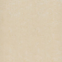 Gạch lát nền Đồng Tâm 100DB016-NANO - 100x100