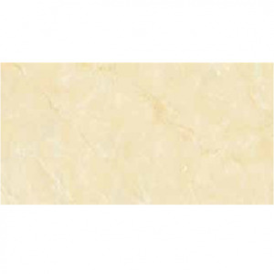 Gạch lát nền Đồng Tâm 4080TAYBAC001