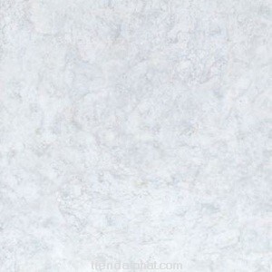 Gạch lát nền Đồng tâm 40x40 467