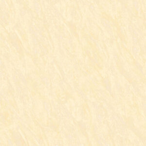 Gạch lát nền Đồng Tâm 6060DA006-FP