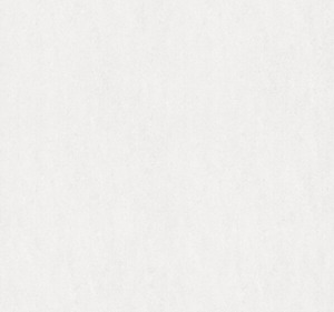 Gạch lát nền Đồng Tâm 6060MOMENT006