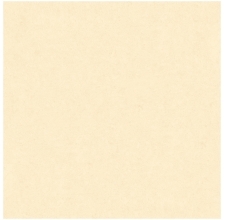 Gạch lát nền Feliz FM605 kích thước 600x600