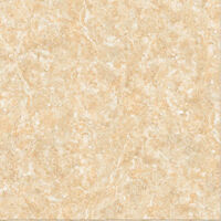 Gạch lát nền Hoàn Mỹ 80X80 1875