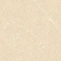 Gạch lát nền KIS – K60007B-PS (60×60)