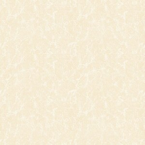 Gạch lát nền Mikado 60x60 VP6528