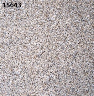 Gạch lát nền Prime 15643 - 60x60