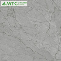Gạch lát nền Sunrise 80×80 MTC9813