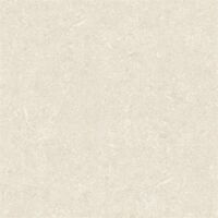 Gạch lát nền Taicera 60×60 GP68016