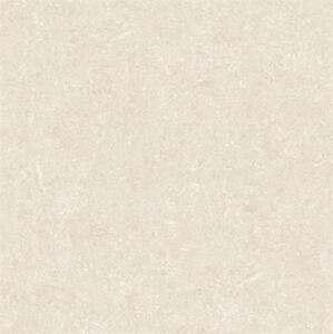 Gạch lát nền Taicera 60×60 GP68016