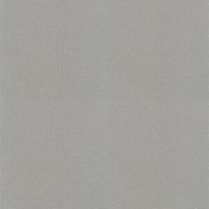 Gạch lát nền Taicera 60×60 P67001N