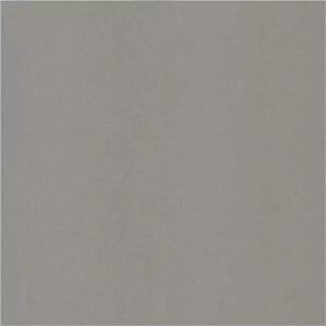 Gạch lát nền Taicera G49001 - 40x40