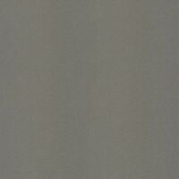 Gạch lát nền Taicera G49002 - 40x40