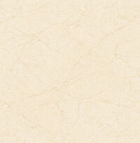 Gạch lát nền Tasa 60×60 6301