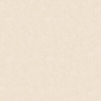 Gạch lát nền Tasa 8001 - 80x80