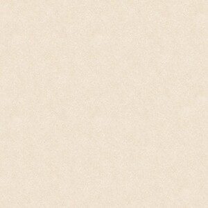 Gạch lát nền Tasa 8001 - 80x80