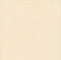 Gạch lát nền Tasa 8101 - 80x80