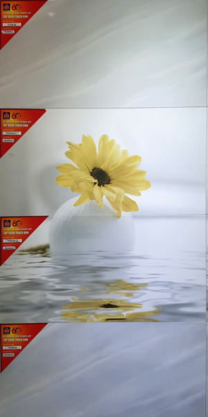 Gạch lát nền TIP 36 - 06 - 21