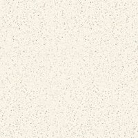 Gạch lát nền Trung Đô 50×50 MM5503