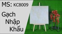 Gạch lát nền Trung Quốc 80x80 KC8009