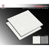 Gạch lát nền TTC EX66313 - 60x60